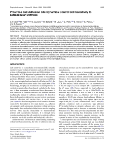 Prestress and Adhesion Site Dynamics Control Cell Sensitivity to Extracellular Stiffness