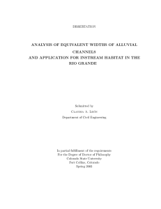 ANALYSIS OF EQUIVALENT WIDTHS OF ALLUVIAL CHANNELS RIO GRANDE