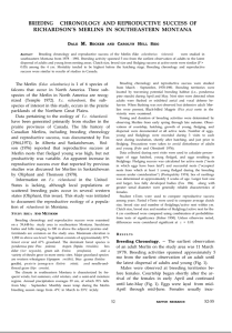 BREEDING  CHRONOLOGY AND REPRODUCTIVE SUCCESS OF M. D