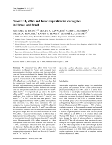 Wood CO eﬄux and foliar respiration for Eucalyptus in Hawaii and Brazil