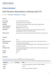 Anti-Tyrosine Hydroxylase antibody ab51191 Product datasheet 1 Abreviews 2 Images