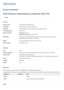 Anti-Tyrosine Hydroxylase antibody ab51196 Product datasheet 1 Image Overview
