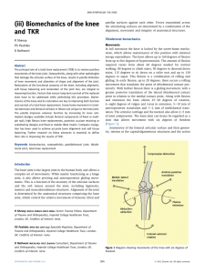 (iii) Biomechanics of the knee