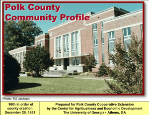 Polk County Community Profile
