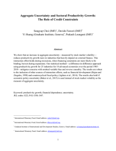 Aggregate Uncertainty and Sectoral Productivity Growth: The Role of Credit Constraints