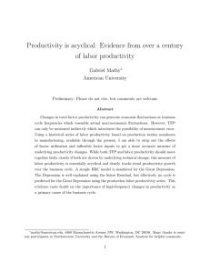 Productivity is acyclical: Evidence from over a century of labor productivity