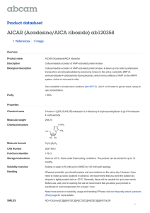 AICAR (Acadesine/AICA riboside) ab120358 Product datasheet 1 References 1 Image