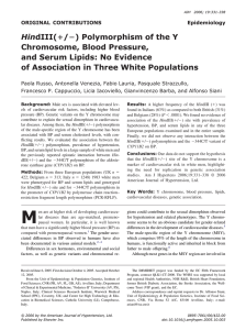 Hin Chromosome, Blood Pressure, and Serum Lipids: No Evidence