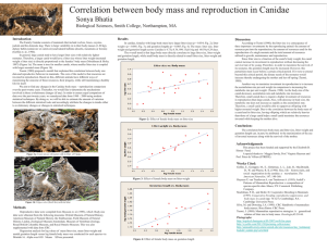 Correlation between body mass and reproduction in Canidae Sonya Bhatia Introduction