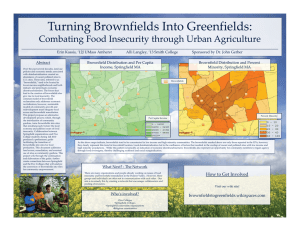 Turning Brownfields Into Greenfields: Combating Food Insecurity through Urban Agriculture