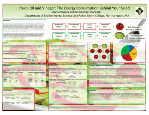 Crude Oil and Vinegar: The Energy Consumption Behind Your Salad