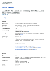 Anti-Fatty Acid Synthase antibody [EPR7465] (Alexa Fluor® 647) ab204661