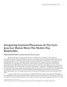 Interpreting Saturated Phenomena At The Gym: Bodybuilder