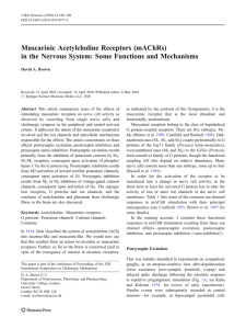 Muscarinic Acetylcholine Receptors (mAChRs) David A. Brown