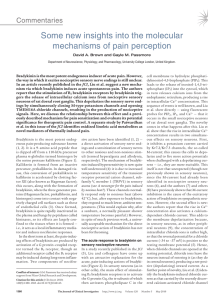 Some new insights into the molecular mechanisms of pain perception Commentaries