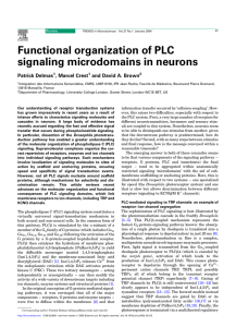 Functional organization of PLC signaling microdomains in neurons Patrick Delmas , Marcel Crest