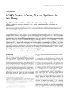 KCNQ/M Currents in Sensory Neurons: Significance for Pain Therapy