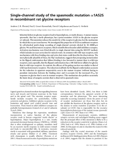 α in recombinant rat glycine receptors