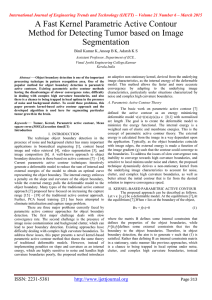 A Fast Kernel Parametric Active Contour Segmentation