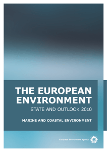 THE EUROPEAN ENVIRONMENT  STATE AND OUTLOOK 2010