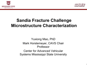Sandia Fracture Challenge Microstructure Characterization