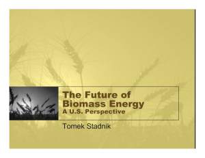 The Future of Biomass Energy Tomek Stadnik A U.S. Perspective