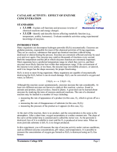 CATALASE ACTIVITY:  EFFECT OF ENZYME CONCENTRATION  STANDARDS