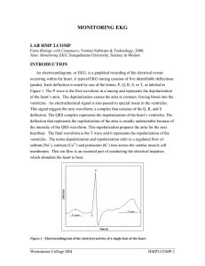 MONITORING EKG  LAB HMP 2.COMP INTRODUCTION