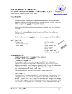 ROCKS, FOSSILS AND SOILS SECTION 4: GROWING SEEDS IN DIFFERENT SOILS STANDARDS: