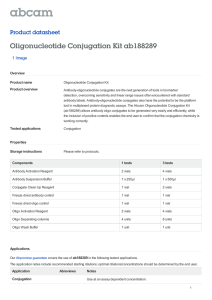 Oligonucleotide Conjugation Kit ab188289 Product datasheet 1 Image Overview