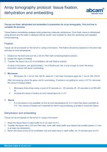 Array tomography protocol: tissue fixation, dehydration and embedding