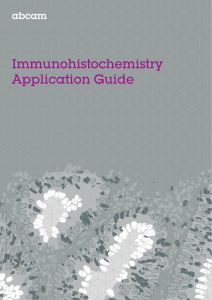 Immunohistochemistry Application Guide 1