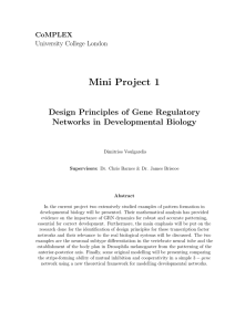 Mini Project 1 Design Principles of Gene Regulatory Networks in Developmental Biology CoMPLEX