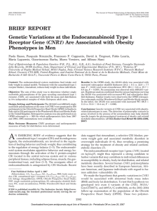 BRIEF REPORT Genetic Variations at the Endocannabinoid Type 1 CNR1 Phenotypes in Men
