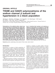 ␤ T594M and G442V polymorphisms of the sodium channel subunit and
