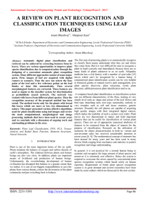 A REVIEW ON PLANT RECOGNITION AND CLASSIFICATION TECHNIQUES USING LEAF IMAGES