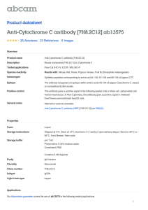 Anti-Cytochrome C antibody [7H8.2C12] ab13575 Product datasheet 26 Abreviews 6 Images