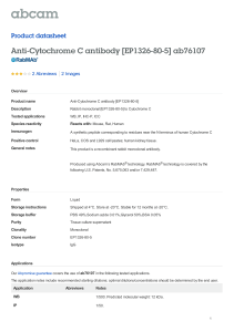 Anti-Cytochrome C antibody [EP1326-80-5] ab76107 Product datasheet 2 Abreviews 2 Images