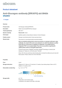 Anti-Glucagon antibody [EPR3070] ab108426 Product datasheet 8 Images Overview