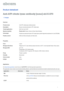 Anti-ATP citrate lyase antibody [none] ab151270 Product datasheet 4 Images Overview