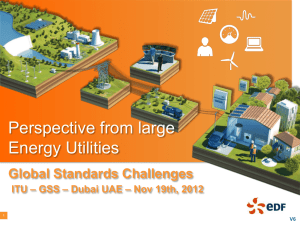 Perspective from large Energy Utilities Global Standards Challenges