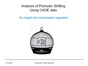 Analysis of Promoter Shifting Using CAGE data An insight into transcription regulation 11/11/2014