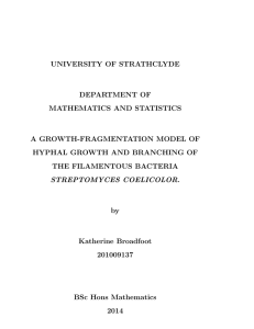 UNIVERSITY OF STRATHCLYDE DEPARTMENT OF MATHEMATICS AND STATISTICS A GROWTH-FRAGMENTATION MODEL OF