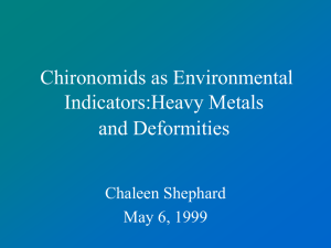 Chironomids as Environmental Indicators:Heavy Metals and Deformities Chaleen Shephard