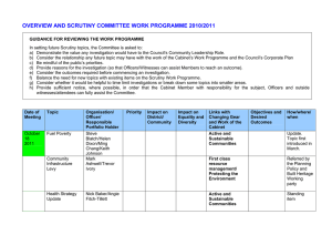 OVERVIEW AND SCRUTINY COMMITTEE WORK PROGRAMME 2010/2011