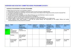 OVERVIEW AND SCRUTINY COMMITTEE WORK PROGRAMME 2010/2011