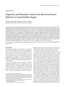 Dopamine and Glutamate Control Area-Restricted Search Caenorhabditis elegans Cellular/Molecular