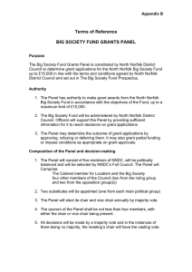 Terms of Reference  BIG SOCIETY FUND GRANTS PANEL