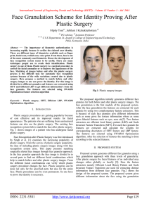 Face Granulation Scheme for Identity Proving After Plastic Surgery  Miphy Tom