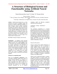 A Structure of Biological System and Functionality using Artificial Neural Networks